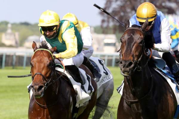 La photo de Pradaro Arrivée PMU Prix du Gros-Chêne Hippodrome de Chantilly 06/06/2021