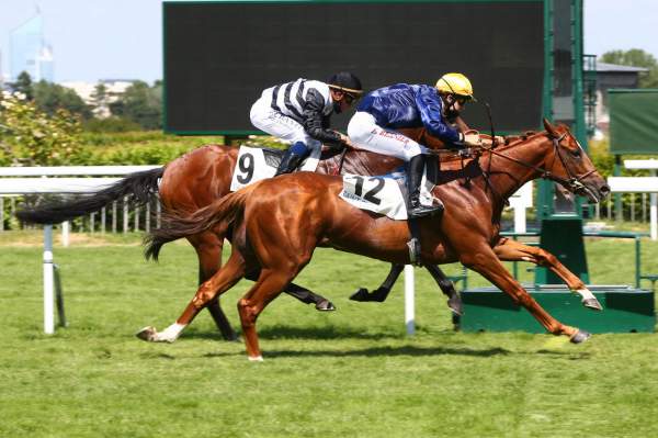 Pronostic PMU Quinté+ Prix de Balleroy, samedi à Deauville. AZULENE, signé André Fabre - Vimarsana News