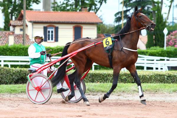Photo de FRANCE BRESIL cheval de TROT MONTE