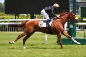 La photo de Shamsabad Arrivée Quinté PMU Prix du Haras de Jardy Hippodrome de Saint-Cloud 08/06/2021