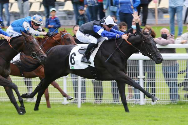 Photo de TOPGEAR cheval de PLAT