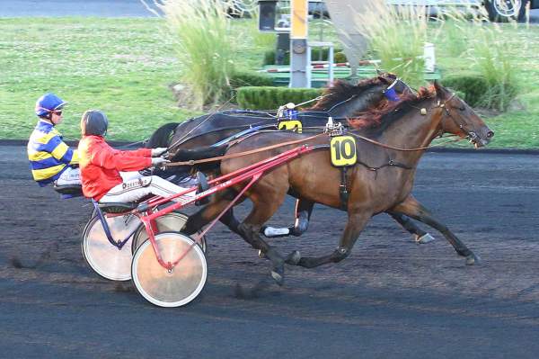 Résultat du Quinté Prix de Beaune, mercredi à Vincennes. Succès de notre favori ECHO DE CHANLECY - Vimarsana News