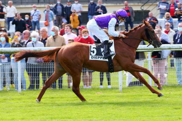 Photo de IVORY SPRING cheval de PLAT