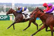 Photo de Mysterious Land Arrival Quinté PMU PRIX DE BALLEROY Hippodrome de DEAUVILLE 21/08/2021