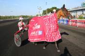 The photo of Hanna Des Molles Course Pmu Sulky Summer Races Prix Guy le Gonidec 2021 in Vincennes
