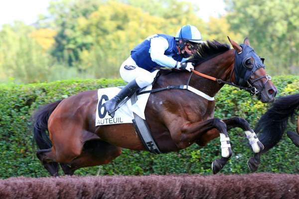 La photo de Geelong Sport 