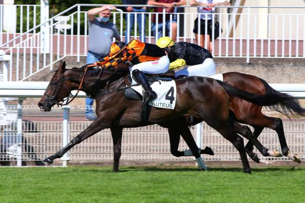 Photo de WEST END GIRL cheval de STEEPLE CHASE