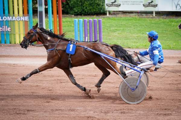 La photo de Helios D'ela 