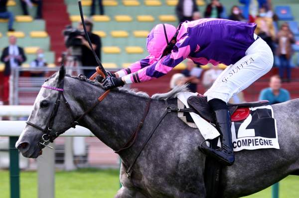 Arrivée du quinté Prix de Beaune, mardi à Compiègne. Succès de KIMRIVER. Le coup de coeur de Stéphane Davy s'impose à 11/1 - Vimarsana News