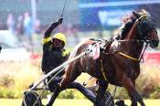 La photo de Hastronaute Arrivée PMU Sulky 4 Ans Finale - Critérium des 4 Ans 2021 à Vincennes