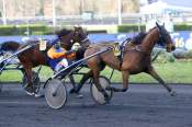 La photo de Emeraude De Bais ARRIVEE PRIX DE LIMOURS - QUINTE + HIPPODROME DE  VINCENNES 05/01/2022 