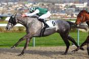 La photo de Magic Vati ARRIVEE PRIX DU VOLCAN - QUINTE + -hippodrome de DEAUVILLE 07/01/2022 