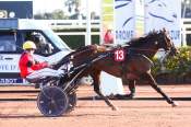 La photo de Eagle Eyes ARRIVEE PRIX HENRI ESTABLE - QUINTE + HIPPODROME DE CAGNES SUR MER 26/01/2022 