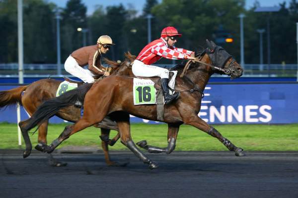 La photo de Jamaique Pajelo 