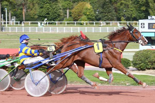 Photo de KANDAR JIEL cheval de TROT ATTELE