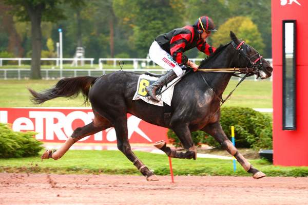 Photo de HARAGONAIS cheval de TROT MONTE