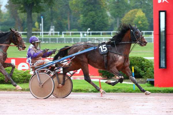Photo de JOYEUX NONNA cheval de TROT ATTELE
