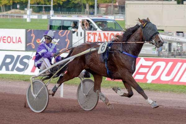 Photo de IPSON DU VERNAY cheval de TROT ATTELE