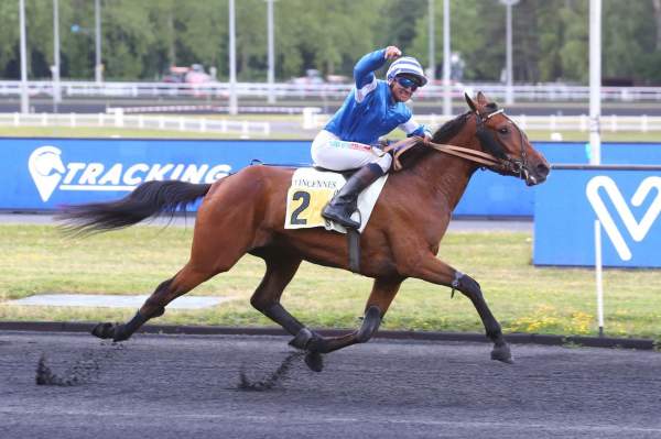 Photo de JADE DU CEDRE cheval de TROT MONTE