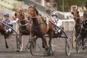 La photo de Hamandina Arrivée Quinté+ Pmu Prix de Maure-de-Bretagne à Vincennes