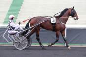 La photo de Gericault