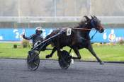 La photo de Fine Colline Arrivée Quinté+ Pmu Prix de Montignac-Charente à Vincennes