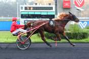 La photo de Kamehameha PRIX TIMOKO - G3 - HIPPODROME DE VINCENNES 26/11/2022