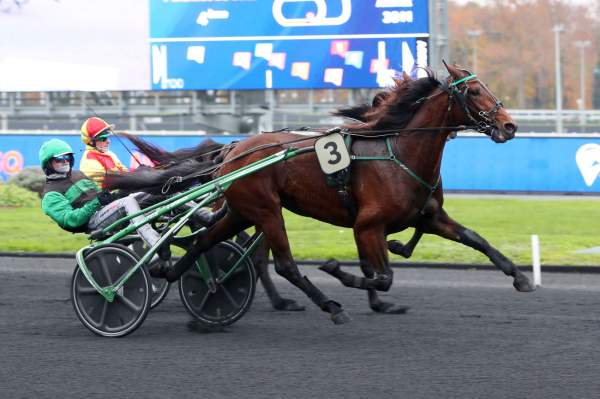 PRIX ASSURANCE CHEVAL HIPCOVER WTW