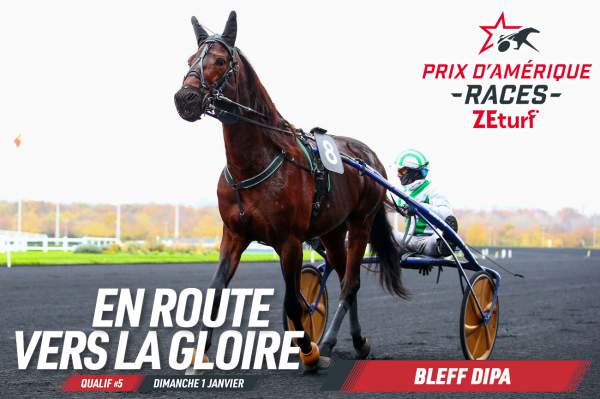 La photo de Bleff Dipa Prix d'Amérique Races Q5, Paris-Vincennes