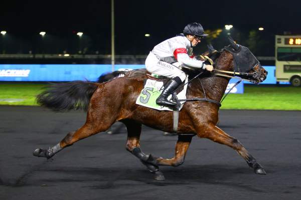 Photo de JIRI PACHA cheval de TROT MONTE