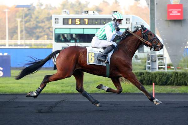 Photo de JIPCHO SKILL cheval de TROT MONTE