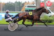 La photo de High Dream PRIX DE MARENNES-OLERON - HIPPODROME DE VINCENNES 03/12/2022