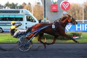 La photo de Inmarosa ARRIVEE PRIX D'AVIGNON - G3 HIPPODROME DE VINCENNES 05/02/2022