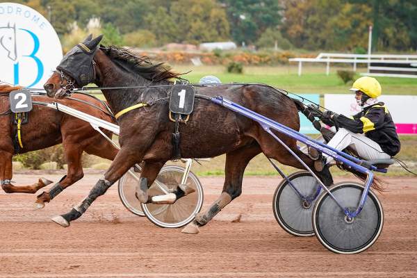 Photo de HELIOS CADURCIEN cheval de TROT ATTELE