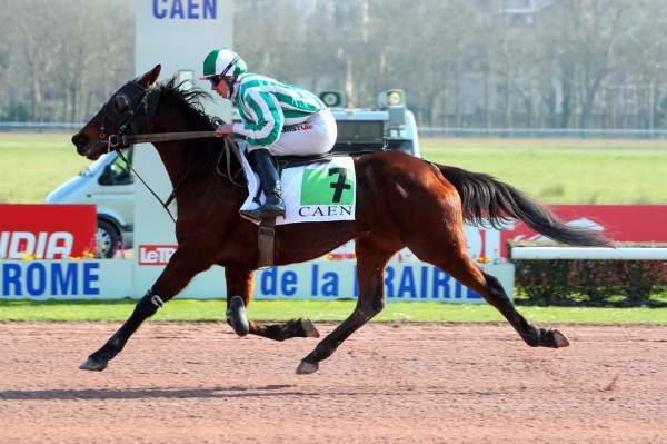 Photo de GOUTIER CELESTE cheval de TROT MONTE