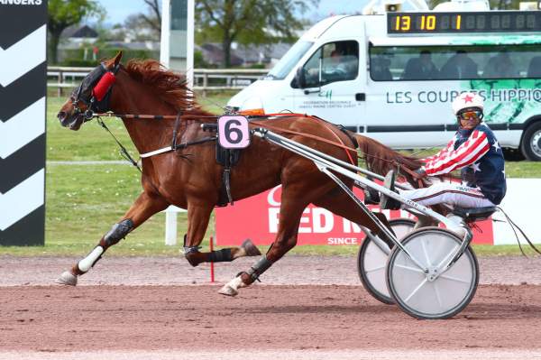 Photo de JEWEL DE LA COTE cheval de TROT ATTELE