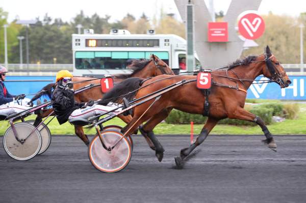 Photo de JICKY GIRL cheval de TROT ATTELE