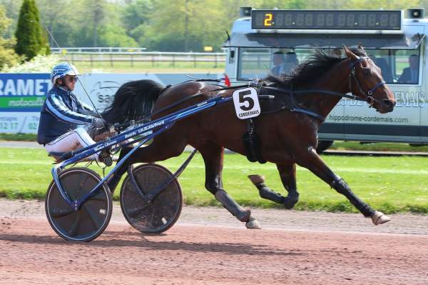 Photo de JAZZ DE PADD cheval de TROT ATTELE