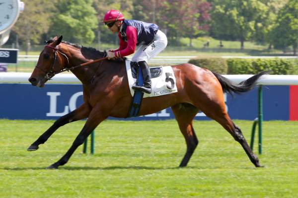 Photo de PERCY SHELLEY cheval de PLAT