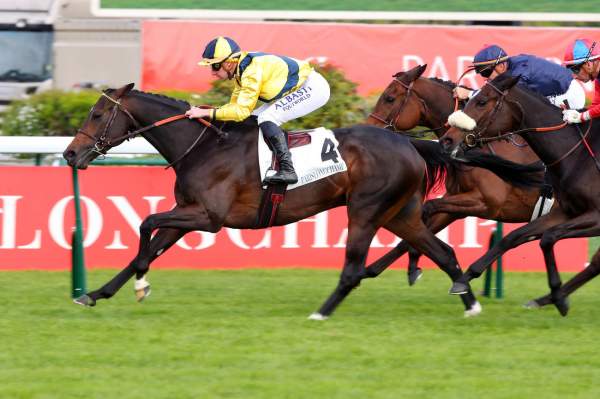 Photo de THE GOOD MAN cheval de PLAT