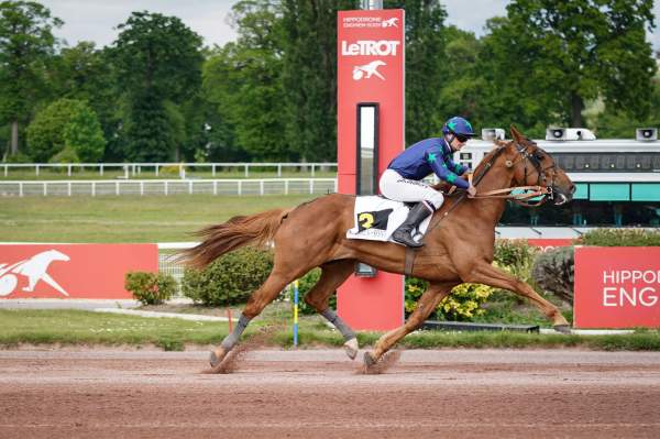 Photo de HOPIUM cheval de TROT MONTE