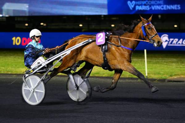 Photo de ISERIA GRIFF cheval de TROT ATTELE