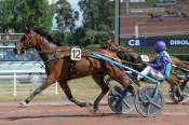 La photo de Gaz D'occagnes 