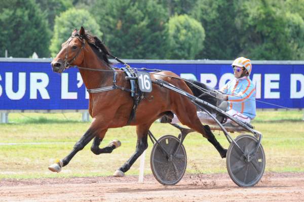 Photo de JABLONSKI cheval de TROT ATTELE