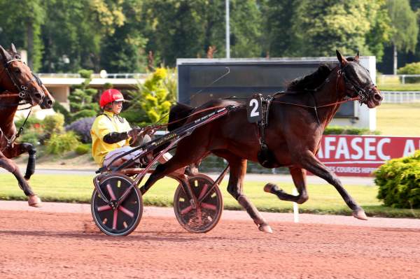 Photo de JUST YOU AND ME cheval de TROT ATTELE