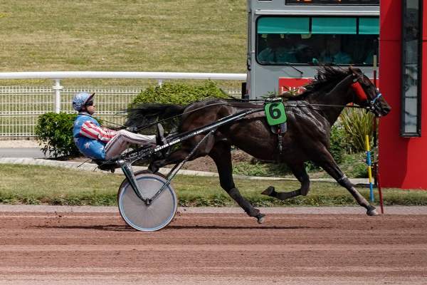 La photo de Feu De Revolte 