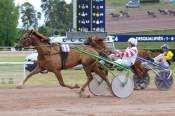La photo de Hakim Des Champs PRIX DU VIVARAIS - QUINTE + HIPPODROME DE VICHY 07/06/2022