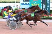 La photo de Jingle Lover PX PMU CAFE DES SPORTS A SAINT BERTHEVIN - HIPPODROME DE LAVAL 08/06/2022