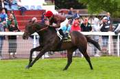 La photo de Goya Senora PRIX AU-DELA DES PISTES - QUINTE + HIPPODROME DE COMPIEGNE 25/06/2022