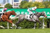 Zdjęcie Alpinista GRAND PRIX DE SAINT-CLOUD - G1 - HIPPODROME DE SAINT CLOUD 03/07/2022